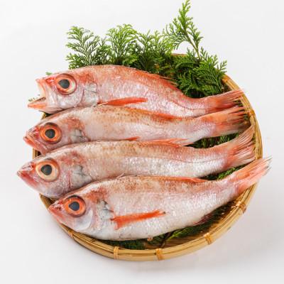 ふるさと納税 浜田市 山陰浜田港水揚げ　高級魚「のどぐろ(鮮魚)」1.2kg程度 |  | 01
