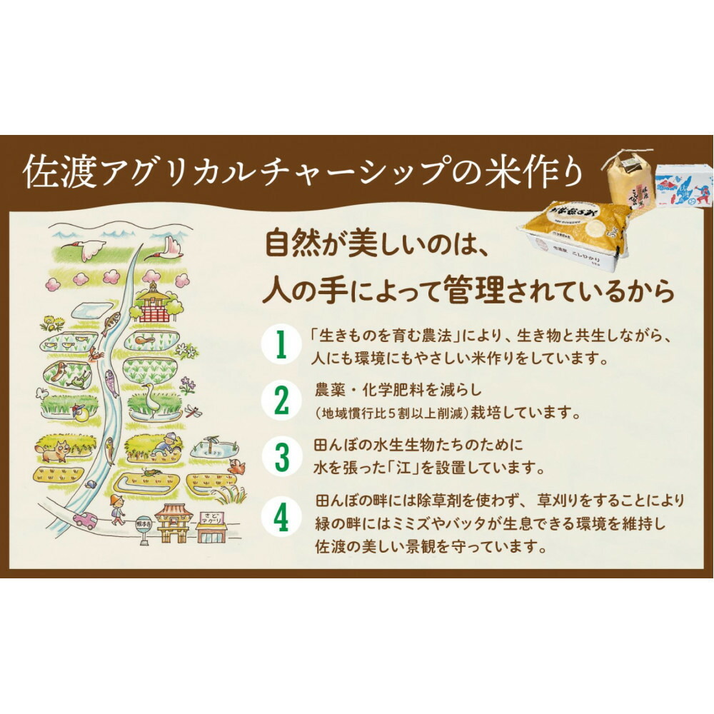 【令和7年産】佐渡島産 特別栽培米こしひかり「大野郷の米」 精米5kg×1袋196883-0020