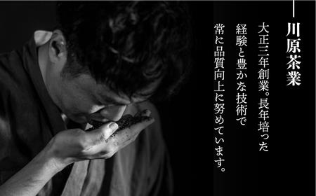 ＜手軽に本格茶！＞老舗茶屋 川原茶業 鍋島藩の嬉野茶ティーバッグ（500g）  佐賀県/株式会社 川原茶業 [41AIAV002]
