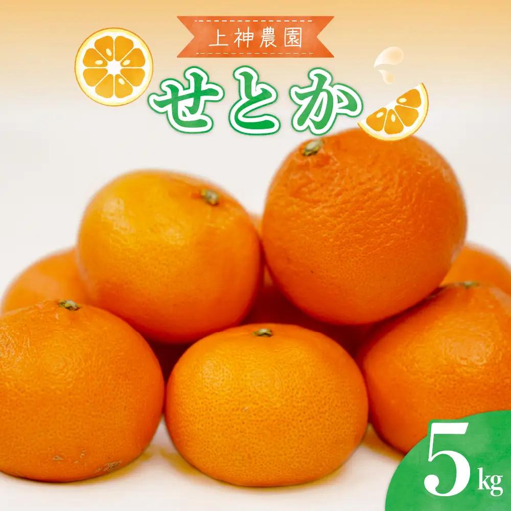 先行受付 2027年2月初旬～発送 広島県産 せとか 約5kg 柑橘
