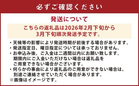 【先行受付】【数量限定】不知火 約5kg 柑橘 でこぽん デコポン 果物 フルーツ 熊本県 上天草市【2026年2月下旬から3月下旬順次発送】