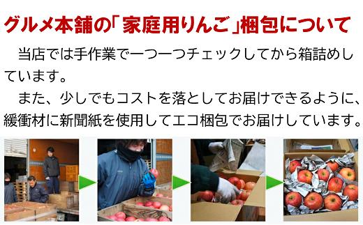 〈家庭用〉 ふじりんご 約10kg 《令和5年12月～発送》 『Yamaga
