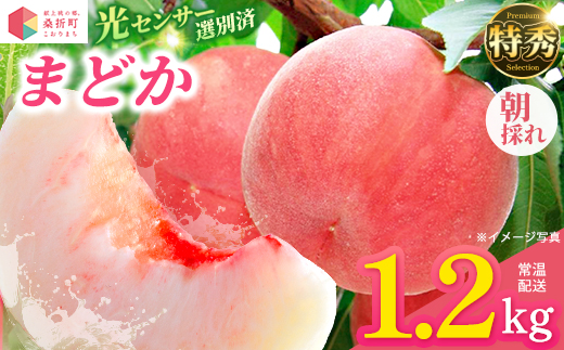 もも【まどか・2026年産】特秀1.2kg　桑折町産　JAふくしま未来　桃　【07301-0225】