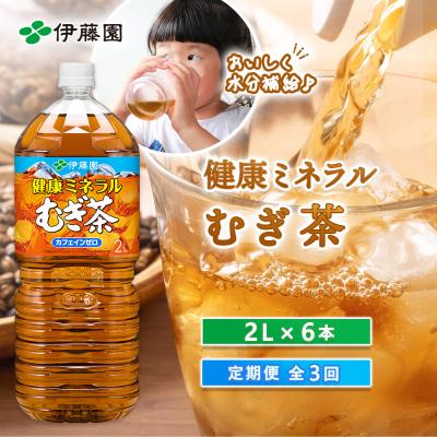 ふるさと納税 恵庭市 『定期便:全3回』健康ミネラルむぎ茶2L×6本【50000101】