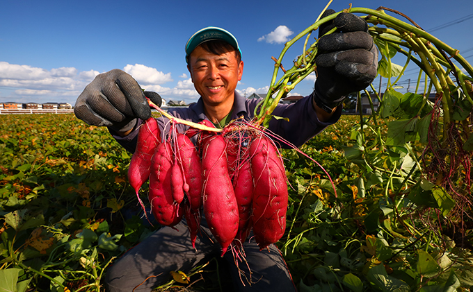 さつまいも(なると金時)松茂町産5kg　徳島 鳴門金時 芋 秋 旬 サツマイモ 正月 おせち 贈答用 野菜 野菜セット 