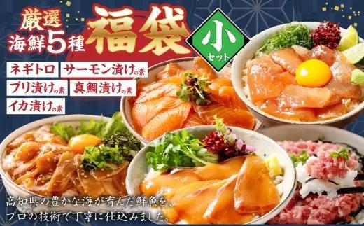 海鮮職人の厳選五種福袋 小 鮮魚 ネギトロ サーモン ブリ 真鯛 イカ 冷凍庫 福袋 魚 海鮮 魚類 魚介 厳選 サーモンの漬け丼 ブリ漬け丼 真鯛漬け丼 イカ漬け丼 冷凍 宝箱 海鮮料理 食べきりサイズ