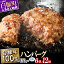 【ふるさと納税】 北海道産 牛肉100% ハンバーグ 肉汁 旨味ぎっしり 150g×6個／150g×12個【内容量が選べる】 ふるさと納税 北海道 ハンバーグ 白糠牛100% 国産 大容量 小分け 簡単調理 惣菜 おかず お弁当 一人暮らし 牛肉 牛 肉 白糠町