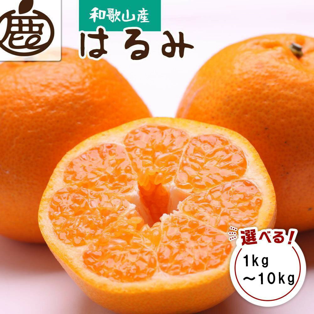 【ふるさと納税】［先行予約］［選べる内容量（1kg～10kg）］厳選 はるみ［デコポンの姉妹品種・新食感春みかん］［光センサー選別］ | みかん 蜜柑 フルーツ 果物 くだもの 食品 人気 おすすめ 送料無料 不知火の姉妹品種 新食感春みかん 光センサー選別