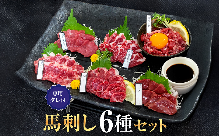 馬刺しセット 6種 1ブロック45g～50g 8～10切れ 約1人前 馬刺し 熊本 馬刺 国産 ギフト 肉 馬肉 グルメ おつまみ 晩酌 内祝い お歳暮 御歳暮 熊本県 宇城市 大阪馬肉屋TMP
