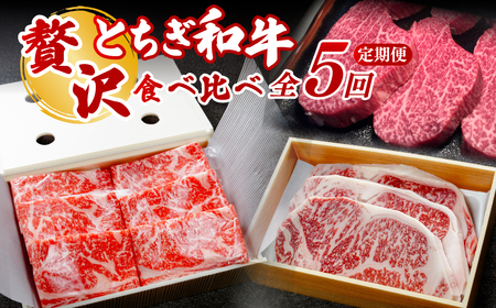 ＜定期便5回＞とちぎ和牛の贅沢食べ比べ 計約3.7kg【栃木県共通返礼品】 | 和牛 定期便 栃木県 茂木町