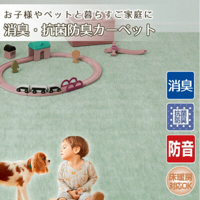【ふるさと納税】【3畳】お子様やペットと暮らすご家庭の快適カーペット グリーン(エミリア3畳GR)【1490950】