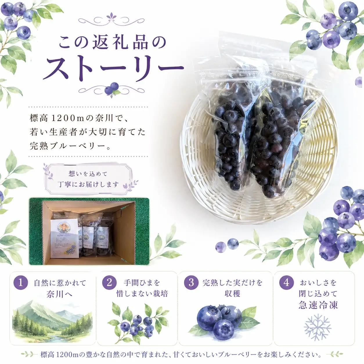 【先行受付】【栽培期間中農薬不使用】標高1200mで育った完熟冷凍ブルーベリー 1.2kg（150g×8パック） 