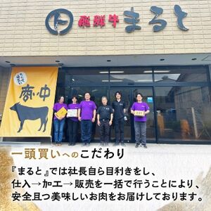 【飛騨牛】焼肉4種セットA-2　ロース・肩ロースと味付けホルモンなど　合計1kg【配送不可地域：離島】【1619780】