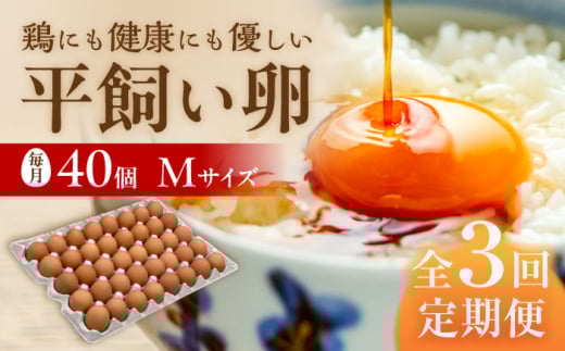 【 全3回 定期便 】  平飼い 卵  「 天上卵 」 40個 セット 《糸島》【株式会社おおはまファーム】[AKH006]
