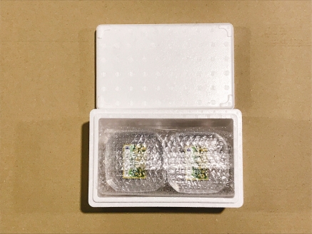 【北海道根室産】灯台つぶわさび　120g×6個 A-09047