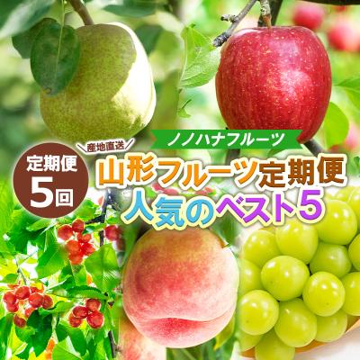 ふるさと納税 山形市 【定期便5回】産地直送 山形フルーツ定期便 人気のベスト5 FY25-331