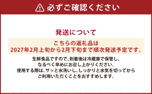 アサツキ 200g×5束 【2027年2月上旬以降順次発送】
