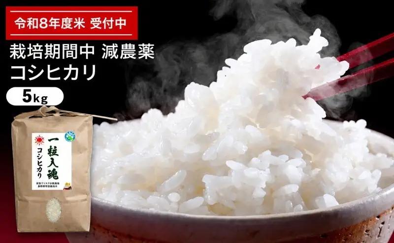 コシヒカリ 令和7年産 栽培期間中減農薬 コシヒカリ 玄米