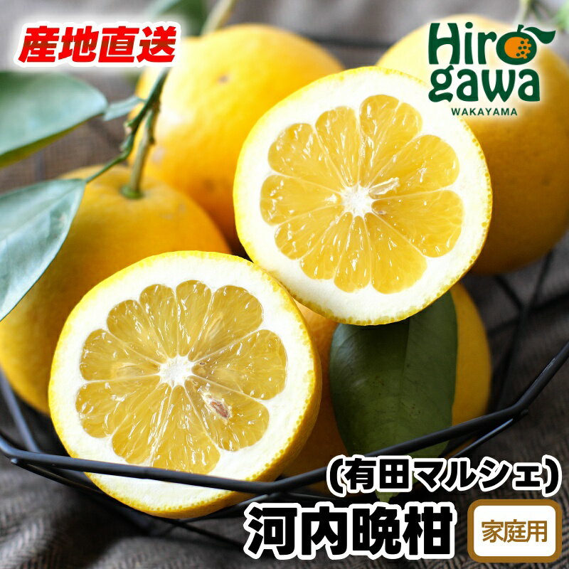 【ふるさと納税】 爽快 柑橘 有田育ちの爽やか 河内晩柑（ご家庭用）※北海道・沖縄・その他離島地域は発送不可 ※2025年4月中旬～2025年7月下旬に順次発送 / 晩柑 宇和ゴールド 美生柑 ジューシーオレンジ 愛南ゴールド ナダオレンジ 天草晩柑 夏文旦 果物 果実 //hassaku