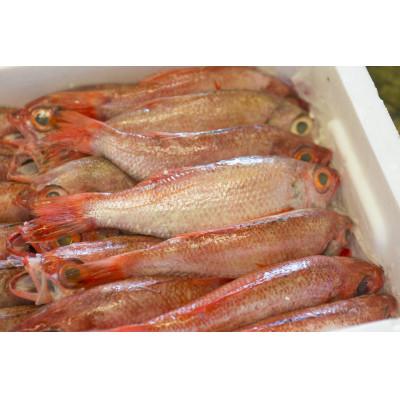 ふるさと納税 浜田市 大秀商店の「干しのどぐろ(240g〜300g)」個包装4尾入り |  | 01