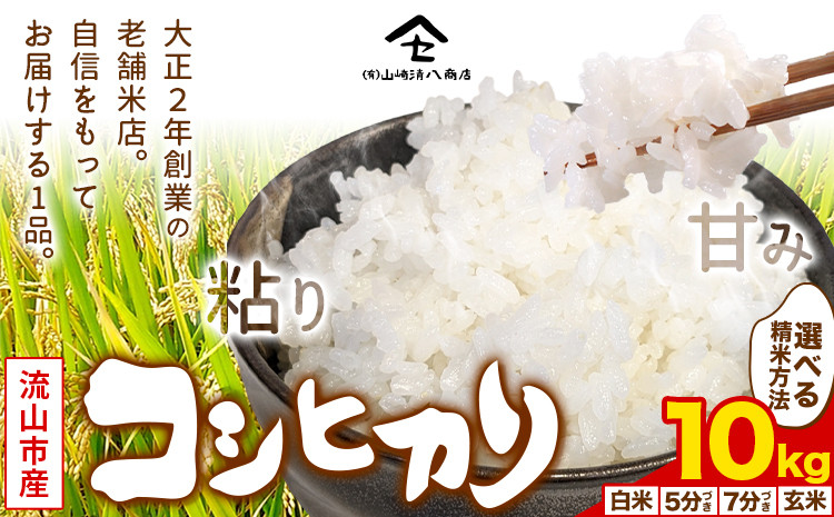 
            コシヒカリ 米 10kg《30日以内に発送予定(土日祝除く)》新川耕地 白米 5分搗き 7分搗き 単発 千葉県 流山市 送料無料 米 こめ ごはん st-p
          