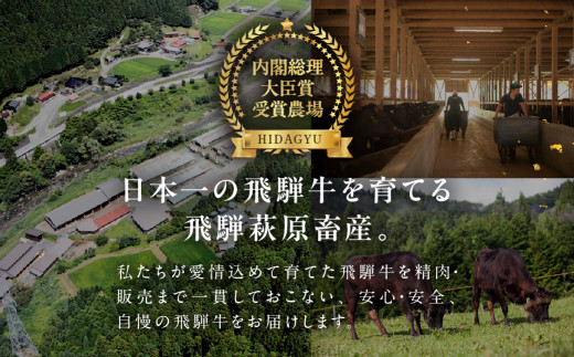 【定期便】飛騨牛一頭分食べつくし（最大 36回）総重量 約300kg 牛肉 ブランド牛 お肉 肉 飛騨萩原畜産 肉贈 定期 牛 一頭【22-C】
