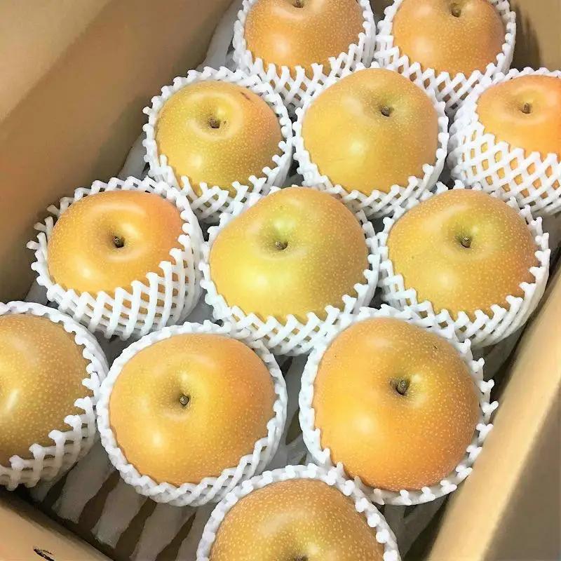 【2027年8月下旬以降より発送】旬の梨おまかせ約5kg・6-14玉（自家製有機肥料・減農薬・化学肥料無使用）