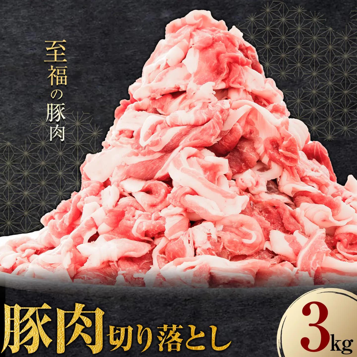 豚肉 切り落とし 3kg 焼肉いしい 株式会社石井牧場《30日以内に出荷予定(土日祝除く)》熊本 支援