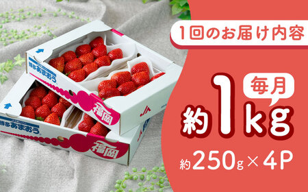 【全2回定期便】福岡産【春】 あまおう 4パック 吉富町/南国フルーツ株式会社[BGAG051]