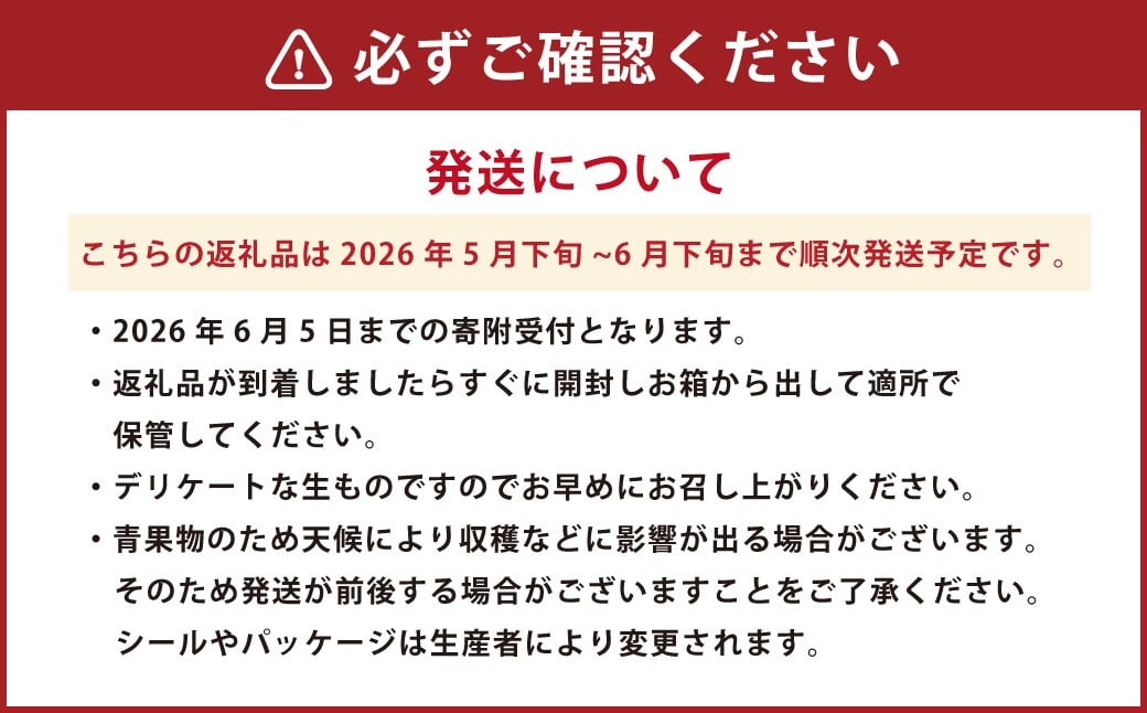熊本県産ブラックジャック(高級西瓜) 約5kg