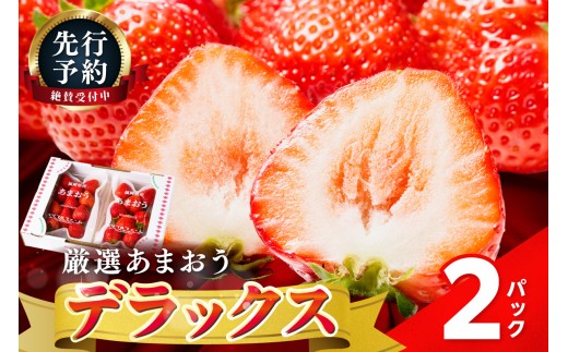【2027年先行予約】あまおうデラックス(2パック)【044-0074】