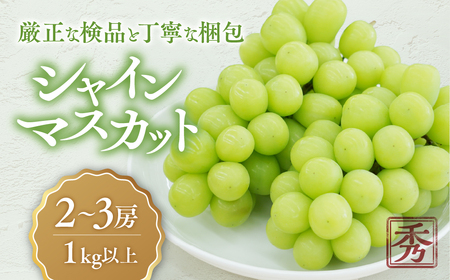 【2025年分発送】 こだわり シャインマスカット 2～3房 1kg以上 先行予約 先行 予約 山梨県産 産地直送 フルーツ 果物 くだもの ぶどう ブドウ 葡萄 シャイン シャインマスカット 新鮮 人気 おすすめ 国産 贈答 ギフト お取り寄せ 甘い 皮ごと 山梨 甲斐市 CD-1