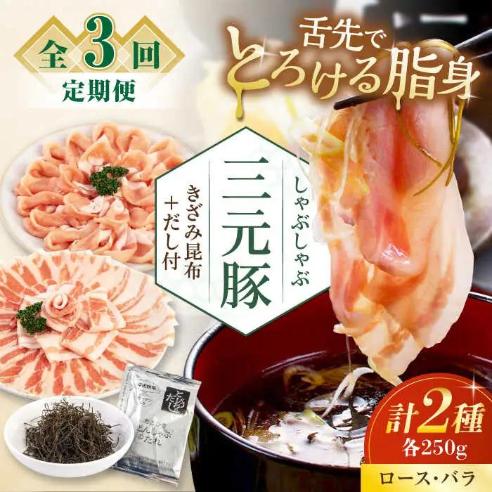 【全3回定期便】 しゃぶしゃぶ セット 500g しゃぶしゃぶ 定期便 AJAP015