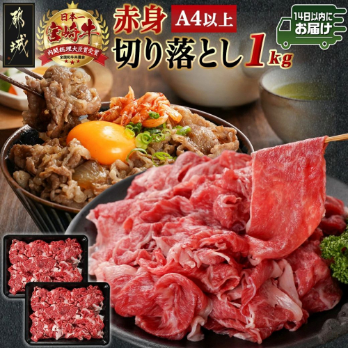宮崎牛赤身切り落とし(500g×2P)≪みやこんじょ快速便≫_AC-N403-R