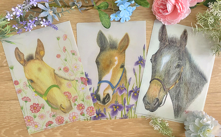 馬のまち栗東　馬と花のステーショナリーセットB / 切手 ポストカード メモ帳 クリアファイル 雑貨 / 栗東市 / nashira (nashira picture of horse)[BIBN00