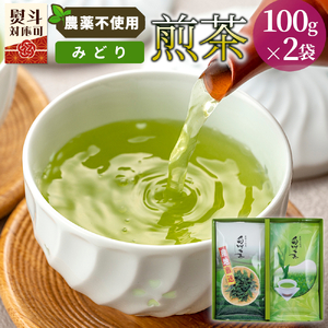 農薬不使用！煎茶 ギフト NO.34（みどり100g×2 計200g） 常磐園 みどり こうぎょく 日本茶 緑茶 煎茶 茶葉 お茶 白川茶 美濃白川茶 農薬不使用栽培茶 一番茶 春摘み 大容量 岐阜県 東白川村 お取り寄せ 贈答用 プレゼント ギフトセット