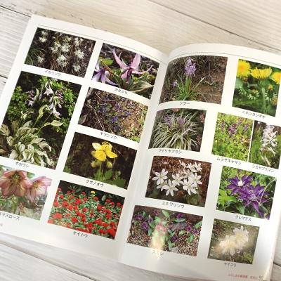 ふるさと納税 福島市 写真集 ふくしまの桃源郷「花見山」　No.1148 |  | 02