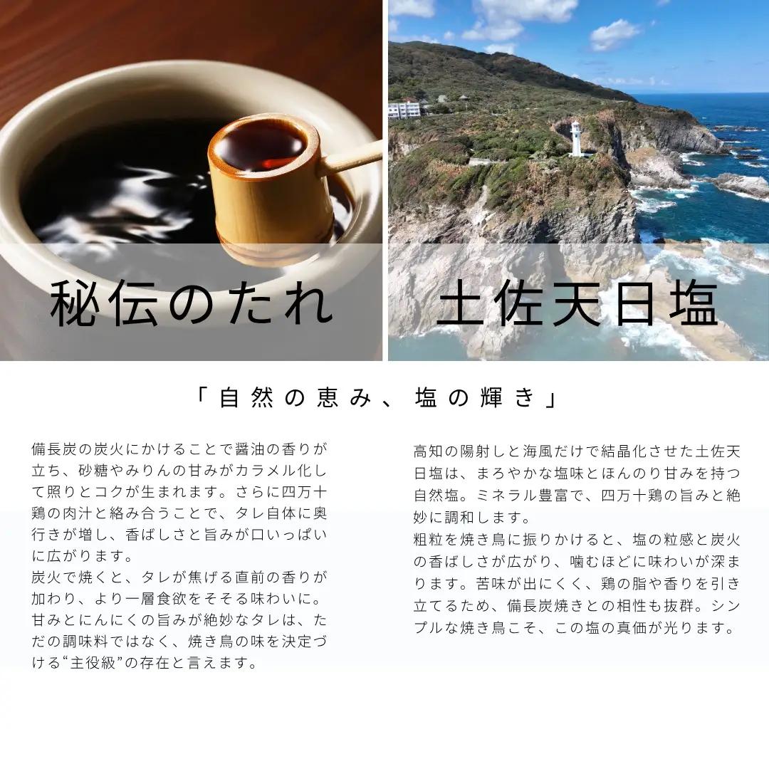 3回定期便 四万十鶏の焼き鳥 ブランド国産もも肉 土佐備長炭焼き 炭火焼き 計50本セット タレ味 塩味 各25本 冷凍 惣菜 BBQ バーベキュー ヤキトリ 串焼き 高知 アウトドア キャンプ飯 お