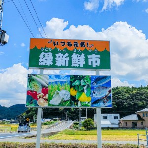 定期便 6回 季節 お楽しみ 野菜 詰め合わせ セット 6?8種 緑新鮮市 キャベツ 人参 にんじん きゅうり じゃがいも なす ほうれん草 小松菜 ピーマン かぼちゃ 白菜 大根 さつまいも 玉ねぎ