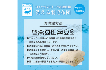 【春夏用】洗える 羽毛 肌掛け布団 ダブル ホワイトダックダウン 85% 0.65kg (無地 アイボリー) / 川村羽毛 / 山梨県 韮崎市 [20741669] 布団 羽毛布団 肌掛け 日本製 抗