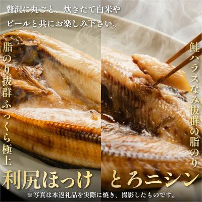 ふるさと納税 利尻町 干物食べ比べ 旨味ホッケ&トロニシン 開き6枚セット利尻島産 [1060010] |  | 01