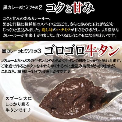 ふるさと納税 泉南市 ●牛タン黒カレー(200g×20パック) |  | 02