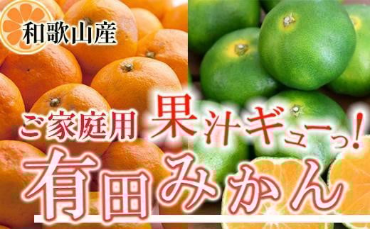
            家庭用 有田みかん5kg+250g（傷み補償分）［2025年10月上旬から2026年1月下旬頃順次発送予定］［IKE247］
          