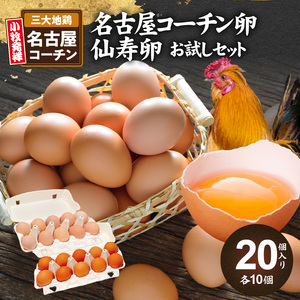 名古屋コーチン卵・仙寿卵お試しセット(各10個入り)良質卵[006K02]