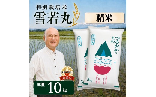 【令和7年産】 特別栽培米 雪若丸 精米 10kg(5kg×2袋)　山形県 庄内産 　| ゆきわかまる 10キロ 米 お米 コメ 白米 食品 ご飯 ごはん 美味しい おいしい ブランド米 庄内米 エコ包装 おすすめ 人気 山形県 鶴岡市 東北 国産 お取り寄せ 返礼品