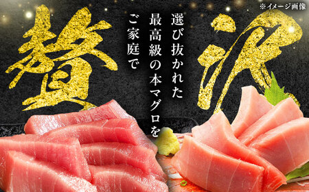 【全12回定期便】 対馬産 本マグロ 3種 計900g（赤身/中トロ/ネギトロ）[WAH042] マグロ まぐろ トロ