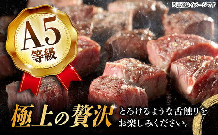【10月発送】飛騨牛 サイコロステーキ 部位おまかせ 500g A5等級 和牛 ブランド牛 国産 牛肉 多治見市 / 渡辺精肉店 [TAZ038-10]