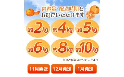 【2026年11月発送予約分】＼光センサー選別／ 【農家直送】【家庭用】こだわりの有田みかん 6kg＋150g(傷み補償分) 先行予約 有機質肥料100% サイズ混合 【11月発送】みかん ミカン 有