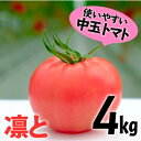 【ふるさと納税】受付4か月で800件超え！四万十産 トマト 「凛と」　野菜 新鮮 鮮度 抜群 トマト 完熟トマト 評判 好評 人気 濃厚 とまと リコピン パスタ トマトジュース ジャム 健康食品 美肌 美容 免疫 緑黄 ／Fbg-A003