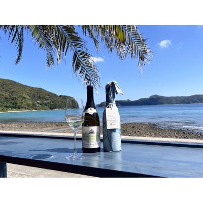 ふるさと納税 瀬戸内町 tlass-20252ndEdition-海底熟成白ワイン750ml×1本